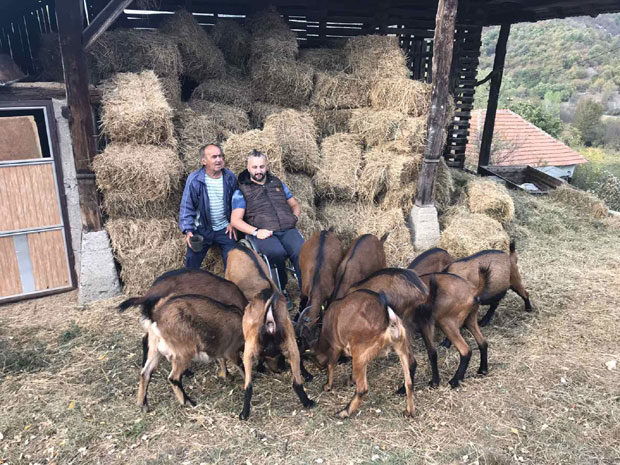 У колицима чувам стадо и срећан сам: Ненад после удеса уместо певачке каријере изградио нови живот